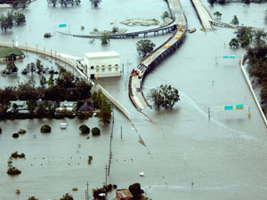 katrina12-01-2009_1.jpg