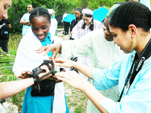 bimini07-10-2012_2.jpg