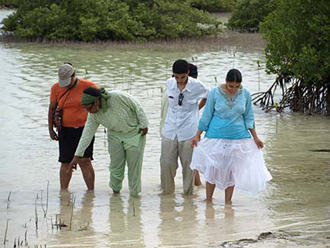 bimini07-31-2012.jpg