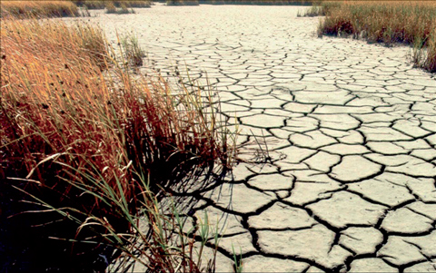 drought07-17-2012.jpg
