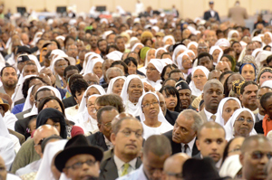 hdoa2011_audience10-18-2011.jpg