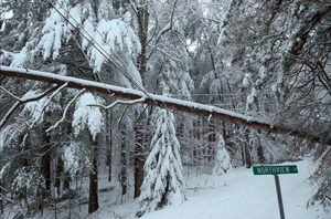 ne_snowstorms01-31-2012.jpg