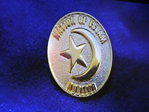 noi_auditor03-13-2012.jpg