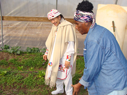 farm_no19_01-08-2013.jpg