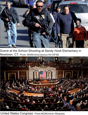 sandyhook_congress_01-15-2013.jpg