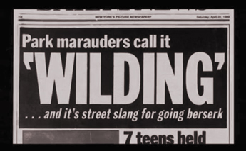 wilding_false_report_02-18-2014.jpg