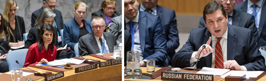 usa-russia-un-ambassadors_04-18-2017.jpg