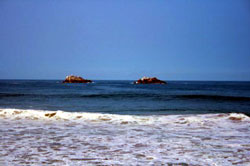no19_11-17-2009_2.jpg