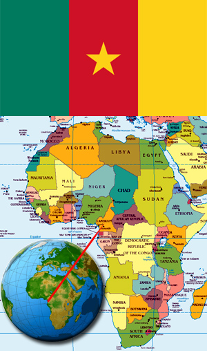 U.S. firm accused of greenwashing Cameroon 'land grab'