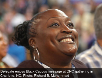 delegate_dnc2012.jpg