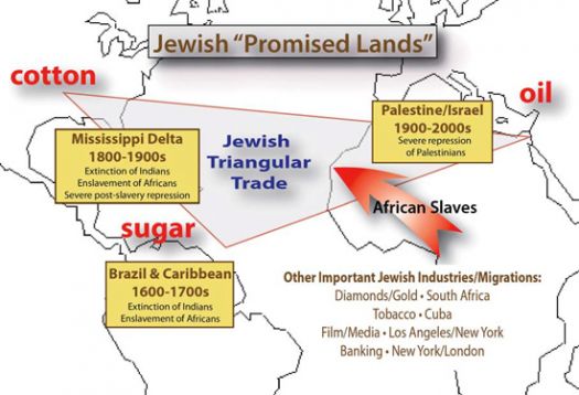 israel_sugar_coton_oil.jpg
