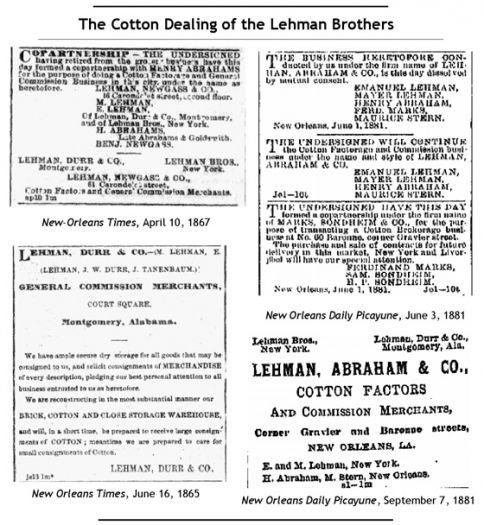 lehman-cotton560.jpg
