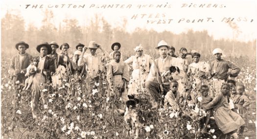 missi_plantation_1908.jpg