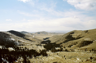 mongolian11-22-2011.jpg