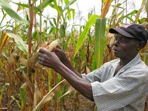 mozambique_farm1-15-2011.jpg