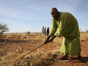 niger_farm05-29-2012.jpg