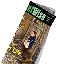 street_wise11-02-2010.jpg