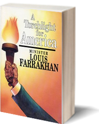 torchlight_book200x250.jpg