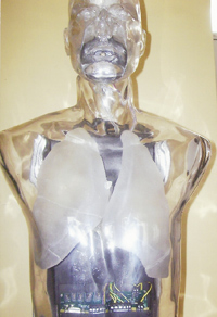 trans-max08-09-2011.jpg