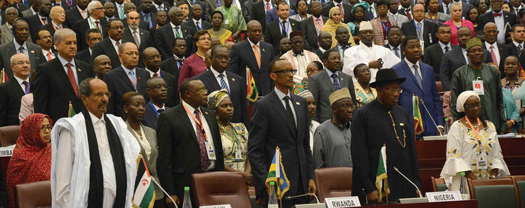 africa_leaders_07-16-2014.jpg