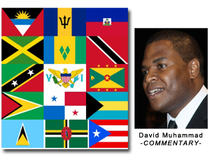caricom_david_1.jpg