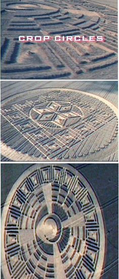crop_circles_03-18-2014.jpg