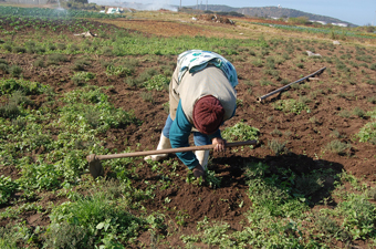 farmer_so_africa_06-25-2013.jpg