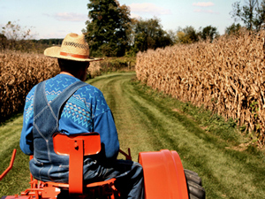 farmers300x225.jpg