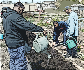 farming_05-14-2013.jpg