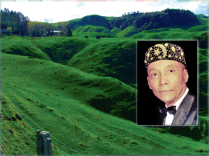 hem_land300x225_1.jpg