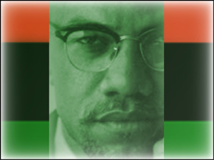 malcolmx_300x225.jpg