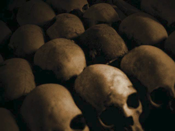 skulls_genocide.jpg