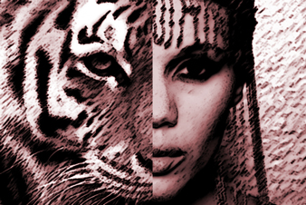 tiger_mom01-22-2013.jpg