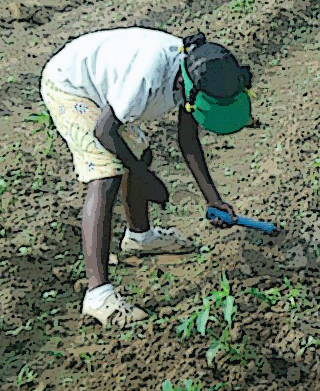 youth_farming2013.jpg