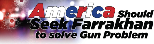 america_farrakhan_gun_problem_11-03-2015.jpg