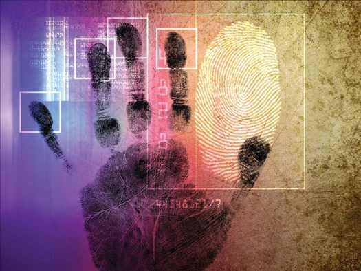 fingerprints.jpg