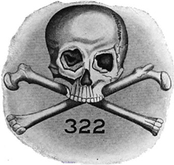 skull_bones_no19_12-23-2014.jpg