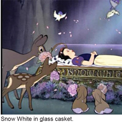 snowwhite_num19_01-13-2015b.jpg