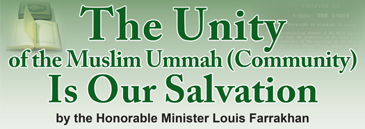 muslim unity essay english muslim unity essay english