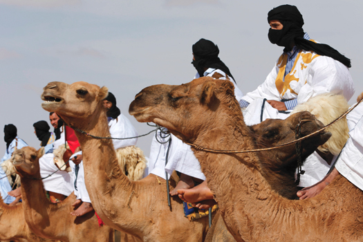 western_sahara_02-10-2015.jpg