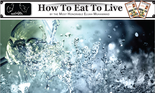 Abundancy-of-Life-How-to-Eat-to-Live.jpg