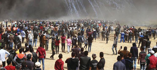 Palestine-protest_01-14-2020.png