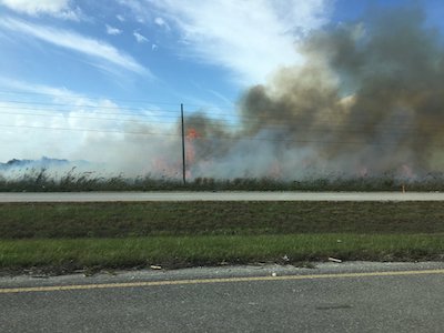 Pre-harvest_sugar_burning_in_the_Glades__5_.jpg