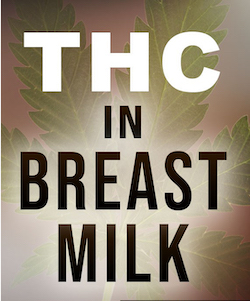 THC_in_milk.jpg