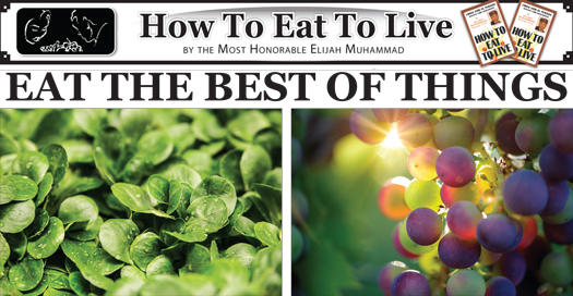 eat-to-live_04-02-2019.jpg