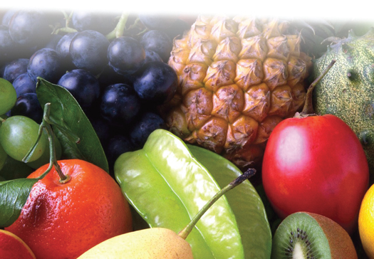fruits-vegatables.jpg