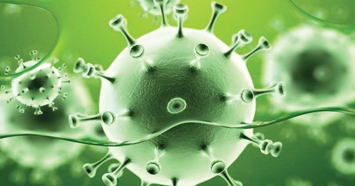 virus.jpg